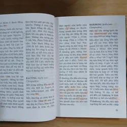 Từ Điển Lịch Sử - Chính Trị - Văn Hóa Đông Nam Á (GS, TS Phan Ngọc Liên chủ biên) 723283