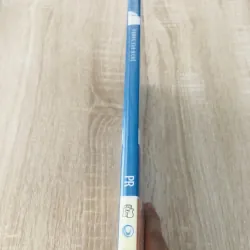 ĐƯỜNG VÀO NGHỀ VIỆT HOA PR 996142