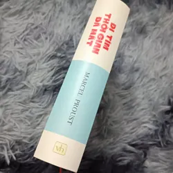 Đi tìm thời gian đã mất (Marcel Proust) 675603