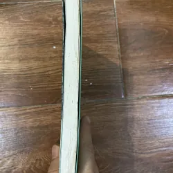 Mèo chiến binh - Vào trong hoang dã (19) 1031964