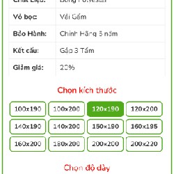 Đệm bông ép chính hãng Everon 22195