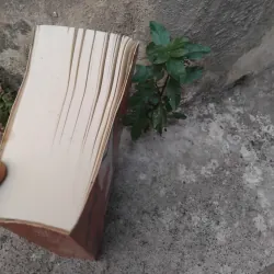 Từ điển thi X/X loại [ chúng sinh ] của Đặng Thân  1008265