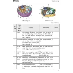 Tổng Ôn phần Tư Duy Khoa Học/Giải Quyết Vấn Đề Môn Sinh Học 925905