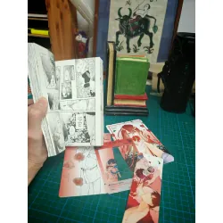 Sơn trà đỏ - Mita Rokuju 546390