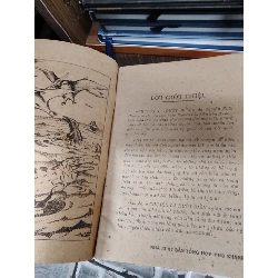 Chuyện lạ dưới biển - Nguyễn Khắc Hường 1026199