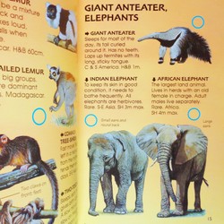 Usborne Spotter's Guides: Wild Animals 195150