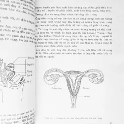 Sinh học lớp 9 xưa (Tập hai) 15839