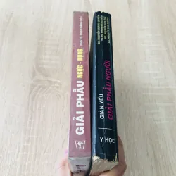 GIẢI PHẪU NGƯỜI - GIẢI PHẪU NGỰC BỤNG 989633