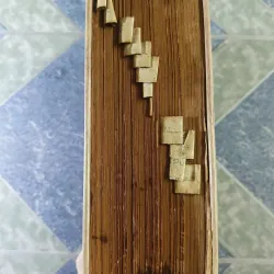 Việt Nam tân từ điển - Thanh Nghị 712530