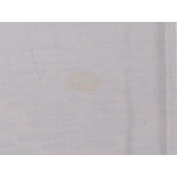 小紋 - Hàng hiệu Chính hãng 875707