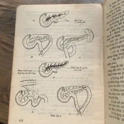Bài giảng Bệnh học Ngoại khoa tập 1, lưu hành nội bộ, in năm 1991, 457 trang 717416