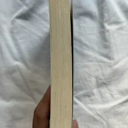 Shadow And Bone -Leigh Bardugo 790139