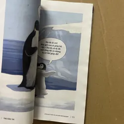 Tảng Băng Tan (sách có ẩm nhẹ) 602850