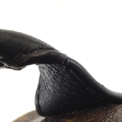 Ba lô Louis Vuitton Monogram Palm Springs PM M41560 610287