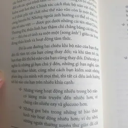 Tích Tiểu Thành Đại - Nuôi Dưỡng Bộ Não Phật Qua 52 Thực Hành Đơn Giản 712422