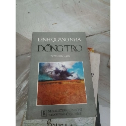 Đồng tro - Đinh Quang Nhã (Văn học Việt Nam) VAVO