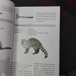 Giới thiệu một số loài thú của Đông Dương và Thái Lan 975216