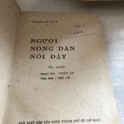 Người nông dân nổi dậy 1000276