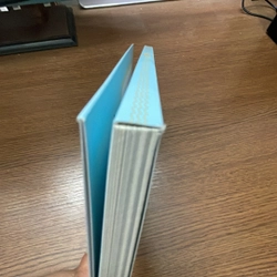 Chảng hải âu kỳ diệu Richard Bach 358068