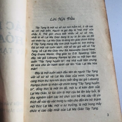 CÁC LẠT MA HOÁ THÂN - 134 trang, nxb: 1991 545018