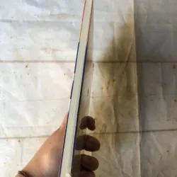 Gã Du Đãng Chúng Ta Đang Lùng Kiếm - Le Thi Diem Thuy 745417