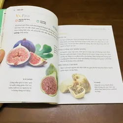 Dinh dưỡng chữa bệnh: trái cây  606030