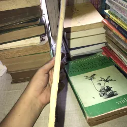 Les hormones ovariennes roussel 973106