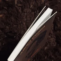 Ngộ nhận (Bùi Giáng dịch) 738122