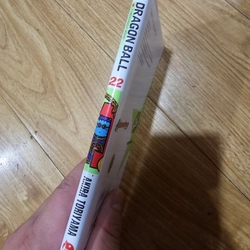 Dragon ball tập 22 443943