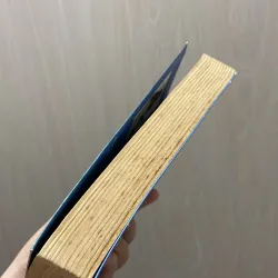 Nụ hôn của sói - Diệp Lạc Vô Tâm 960811