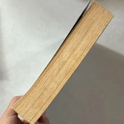 Người mẹ tốt hơn là người thầy tốt - Doãn Kiến Lợi 757657