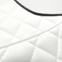 Túi xách vai Chanel AS4579 613750