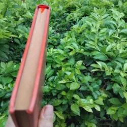 Hổ phù kịch lịch sử của Quách Mạt Nhược  994799