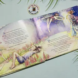 Fairy Secrets – A Magical Secret Envelope Book 690033