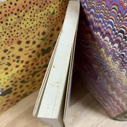 Tuyệt Vọng Lời - Woody Allen 754765