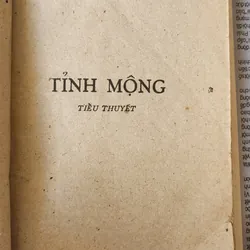 Tỉnh mộng, tiểu thuyết của Hồ Biểu Chánh 703970