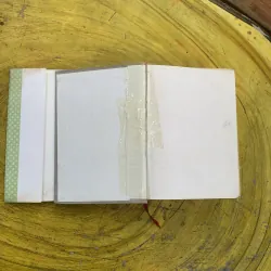 TỪ ĐIỂN TIẾNG VIỆT - VIỆN NGÔN NGỮ HỌC 799943