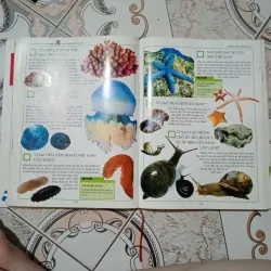 10 vạn câu hỏi vì sao. Nhà xuất bản Đông á. Dày 327 trang 996238