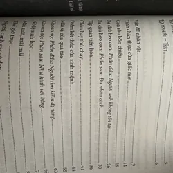 Thiên tài bên trái kẻ điên bên phải 592316