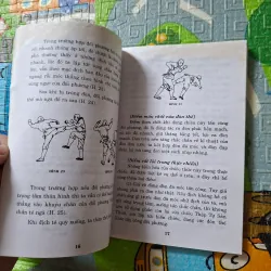 Tuyệt Chiêu Thiếu Lâm 1029088