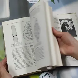 [MIỄN PHÍ BỌC SÁCH] The Plant World - Harry J. Fuller 750801