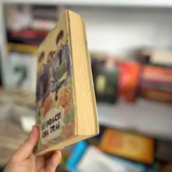 Kế Hoạch Của Trai ⭐ 706789