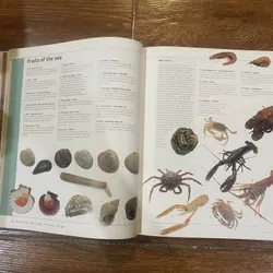 Culinaria France: A Celebration of Food and Tradition 727193