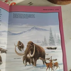 1000 + animal facts 969842