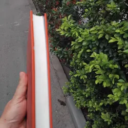 Rabbit ơi chạy đi của John Updike 936583