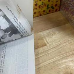 Chân Dung Người Hoa Ở Tp. Hồ Chí Minh - Lý Lan 927522