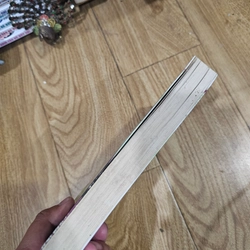 Bồ câu chung mái vòm
32k (bìa 64k) 408211