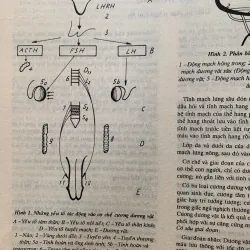 Bách khoa thư bệnh học 2, in năm 1994 1009151