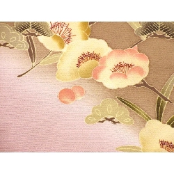 Kimono thăm viếng - Hàng hiệu Authentic 877525