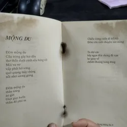 Mộng Du" của tác giả Tôn Phong. 
(1992) 563773